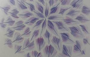 玉葱の花３ - サオリ 