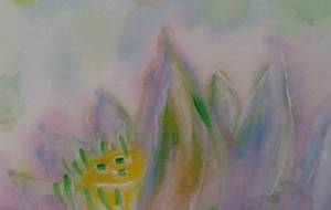 sorry…father.mother - サオリ