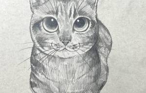 見つめる - Yukari 