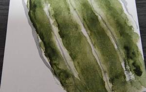 ズッキーニ - 【イベント】可能性アートプロジェクト 2026 