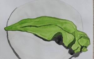 あおとうがらし - GENTIL