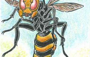 スズメバチの品格 - 【イベント】可能性アートプロジェクト 2026