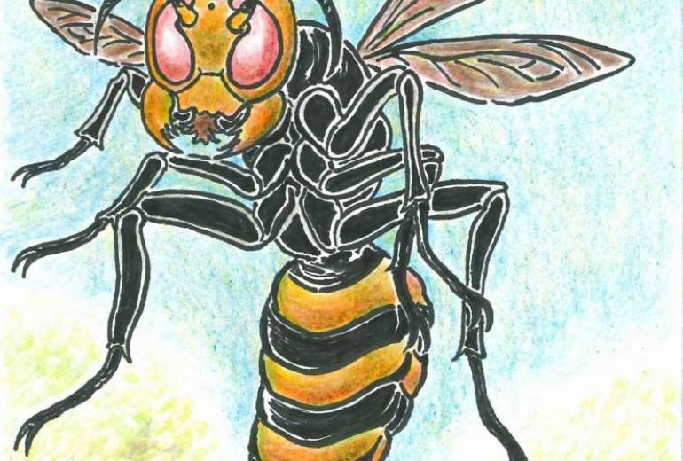 スズメバチの品格