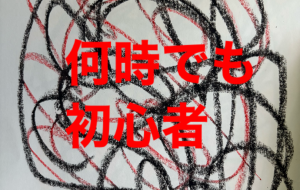 アール・ブリュット挑戦 - 笹谷正博 