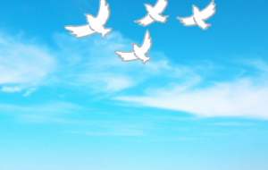 青空を自由に飛ぶ鳩 - 【イベント】可能性アートプロジェクト 2026
