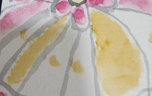 しょうろんぽう - るり 