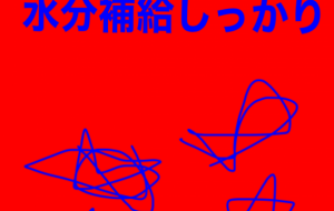 アール・ブリュット挑戦 - 笹谷正博 