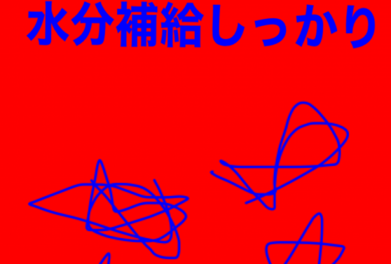 アール・ブリュット挑戦
