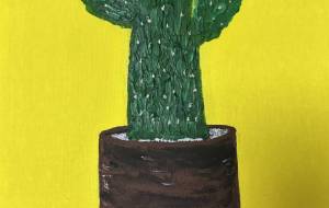 サボテン - 喜子 