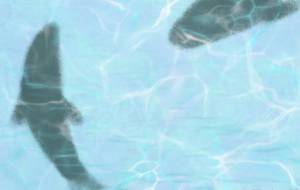 ギョエー - 【イベント】可能性アートプロジェクト 2026