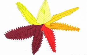 色なす紅葉 - 佐藤大悟 