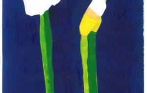 カラー - 青木正臣