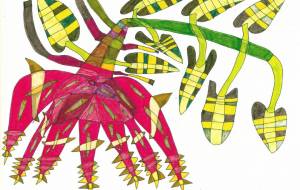 サツマイモ - 青木正臣 