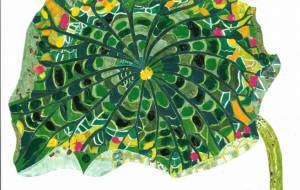 ハスの葉 - 樽井慎一郎