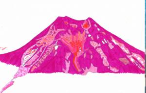 富士山 - 樽井慎一郎