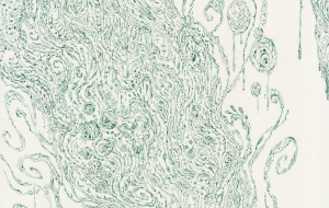 広がる意思 - 【イベント】可能性アートプロジェクト 2026 