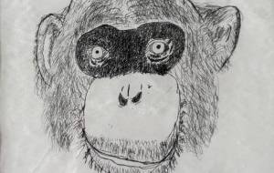 サル - 【イベント】可能性アートプロジェクト 2026 