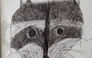 タヌキ - 【イベント】可能性アートプロジェクト 2026 