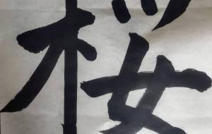 桜 - ですメタル 