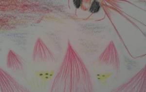 トンボと夕焼け - サオリ 