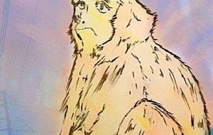 お猿さん - 小林由樹