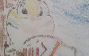 森の小人 - サオリ