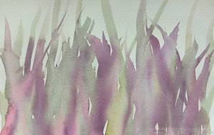 赤の男爵(レッドバロン) - 【イベント】可能性アートプロジェクト 2026