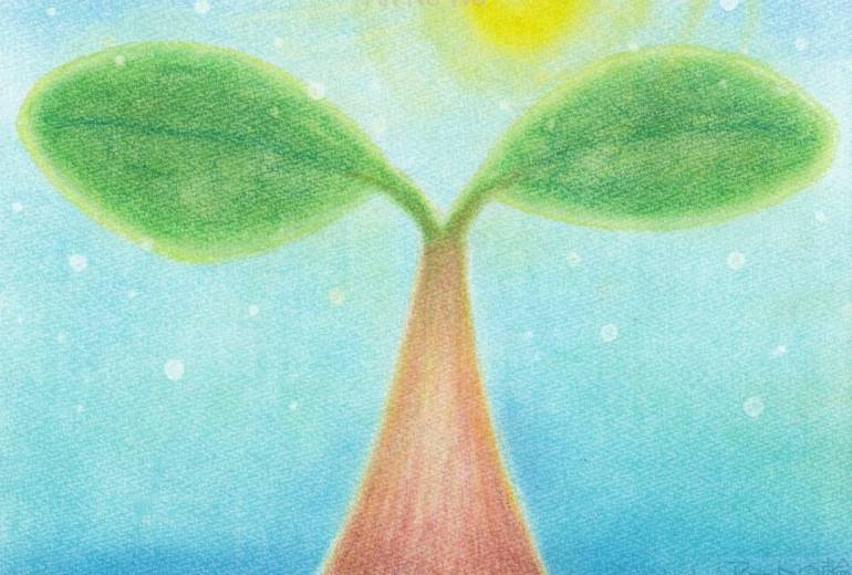 太陽に向かって伸びる双葉