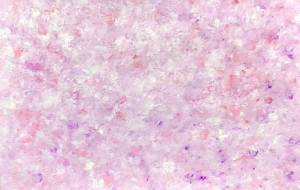 さくらもち - 【イベント】可能性アートプロジェクト 2026