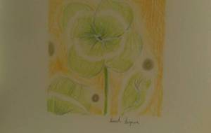 幸福に気づいてほしいすべての人に。 - サオリ