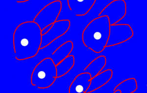 アール・ブリュット挑戦 - 笹谷正博