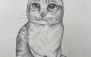 おすまし - Yukari