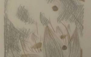 月と太陽の物語 - サオリ 