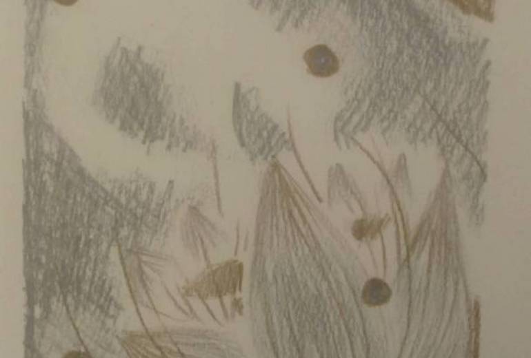 月と太陽の物語