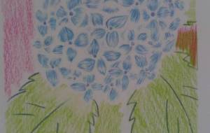 センチメンタル - サオリ 