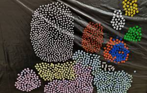 カラフル - りょうま 