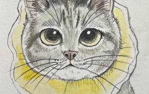 ネネちゃん - Yukari