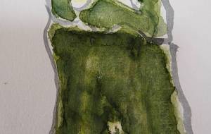 ズッキーニ - るり