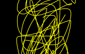 アール・ブリュット挑戦 - 笹谷正博 