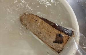 カツオのたたき - 笹谷正博