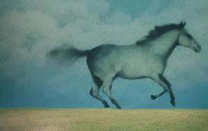 風を受けて - 小林由樹