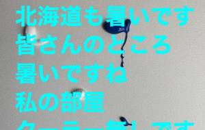 所感 - 笹谷正博