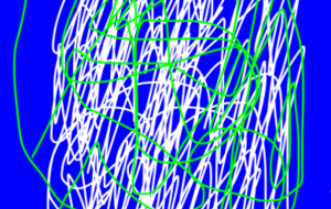 アール・ブリュット挑戦 - 笹谷正博 