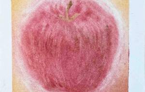 リンゴ - 車いすマミー 