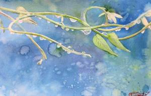 露玉の架け橋 - おゆみ