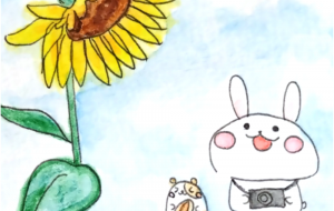 ひまわり - ぽちたま 