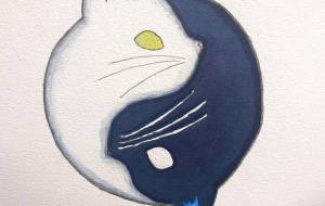 白と黒 - 海ノ介 