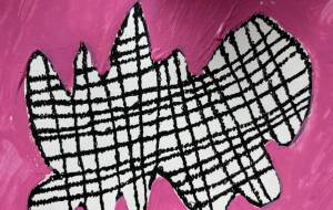 ピンクララ - 笹谷正博