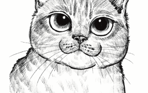 みかんちゃん - Yukari