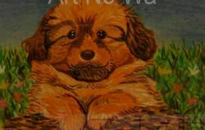 ピクニック - 萩原克典 